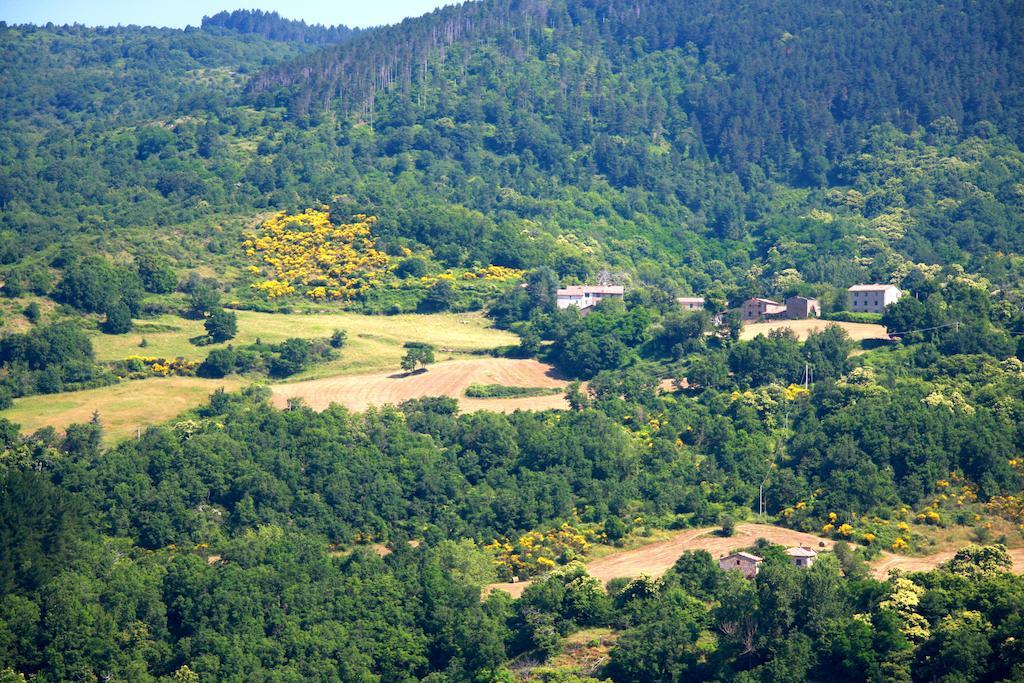 Apartmán Borgo Fango Montieri Exteriér fotografie