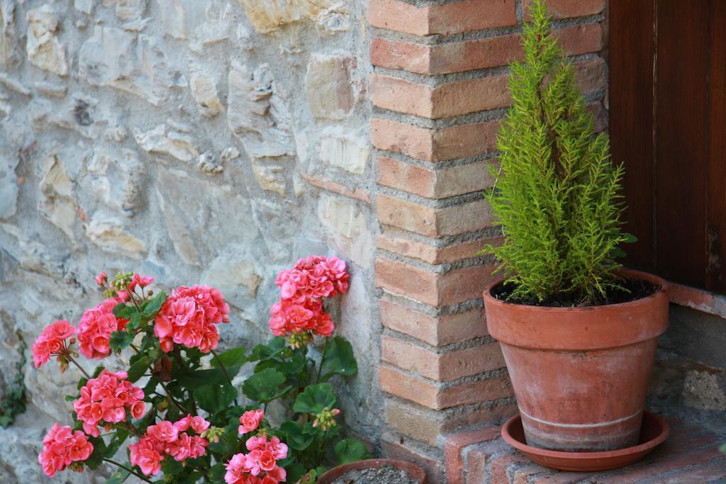 Apartmán Borgo Fango Montieri Exteriér fotografie